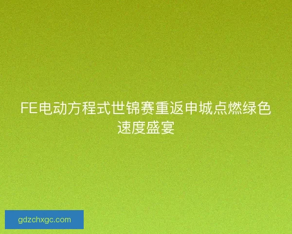 FE电动方程式世锦赛重返申城点燃绿色速度盛宴